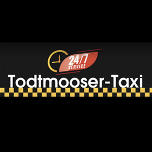 Logo Todtmooser Taxi