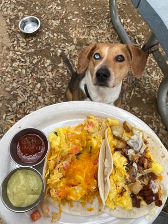 Images Waterloo Ice House Burnet Road