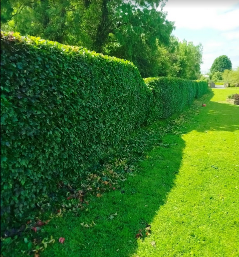 Hedge Cutting, Garden Maintenance, Power Washing, Gutter Cleaning, Decking, Fencing