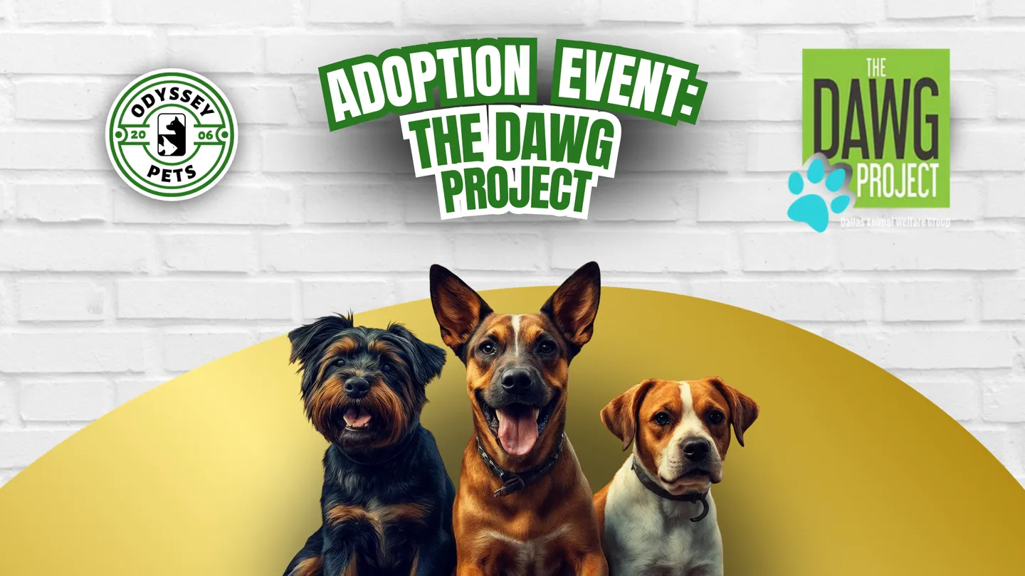 Image of Local Pet Event Adoption Event: The DAWG Project Nearby