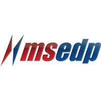 MSEDP Technology Group IT & Web Services