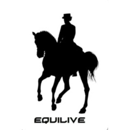 Centro Hipico Equilive Logo