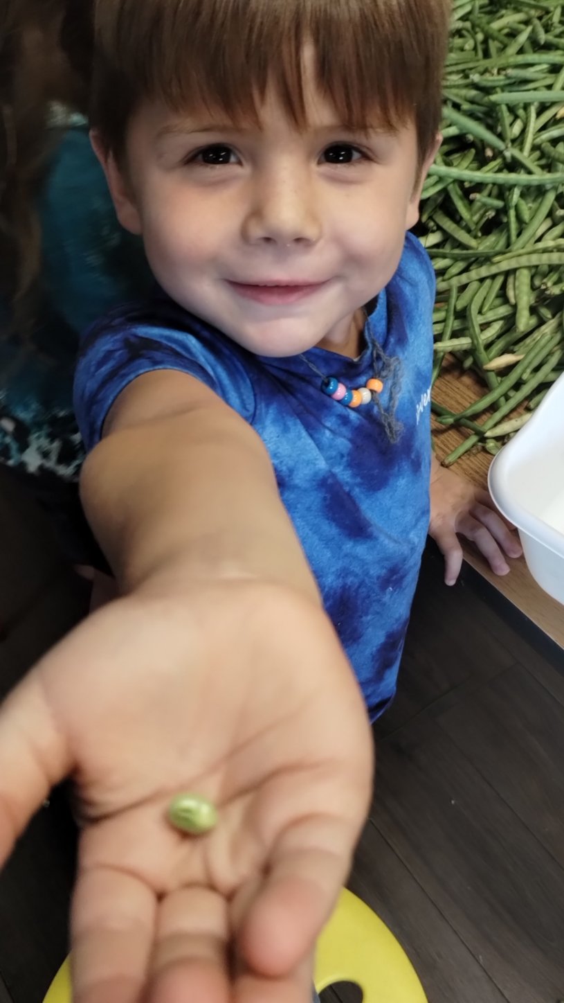 Little Folks Farm & Childcare Image