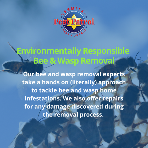 Images Pest Patrol, Inc.