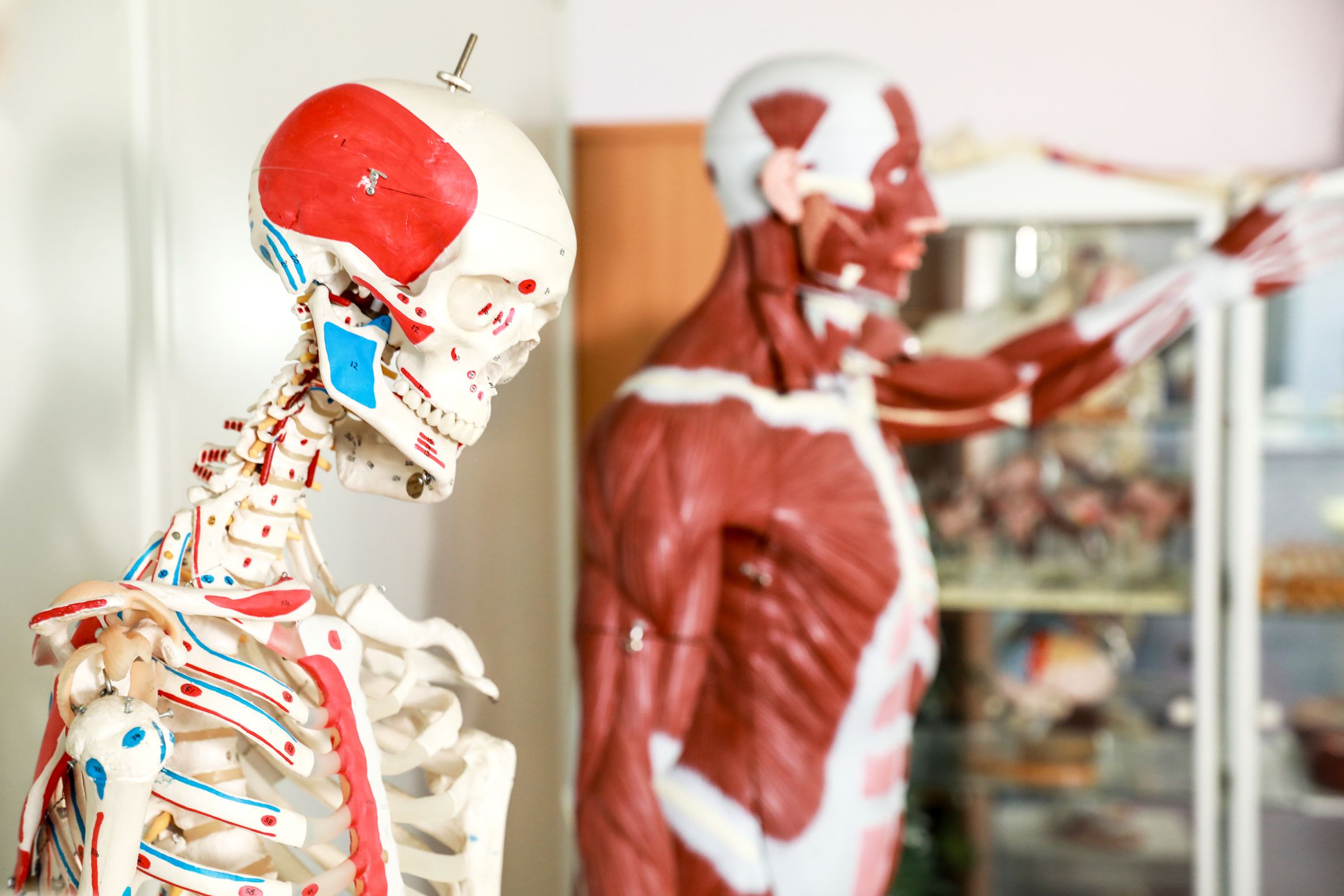 Bilder SHI Haus der Homöopathie