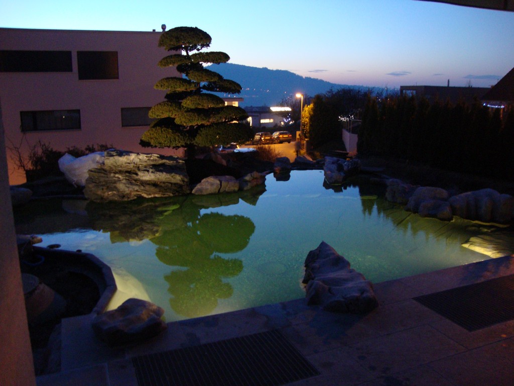 Leonetti GmbH, Mühlebühlweg 6 in Meisterschwanden