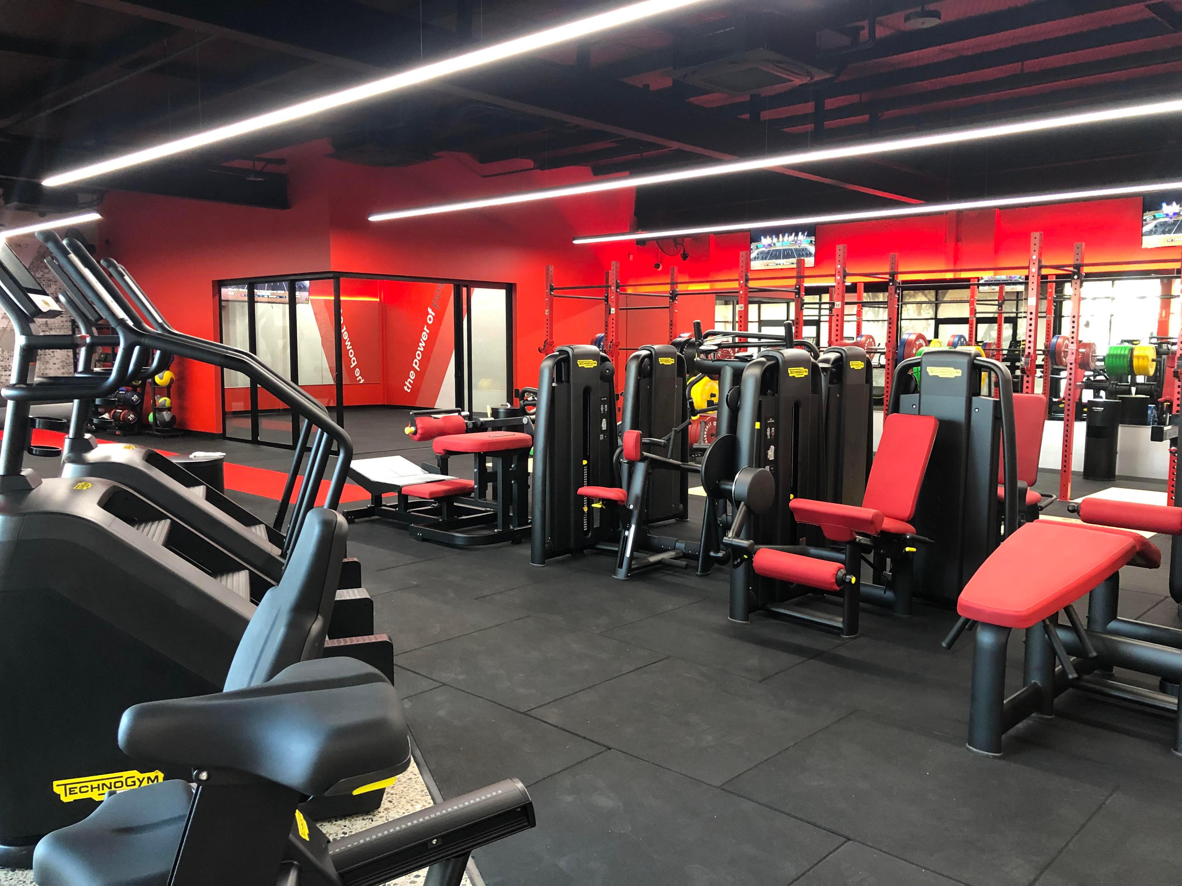 Step Up Machine and Weights Snap Fitness 24/7 Mayfield Mayfield 0422 426 596