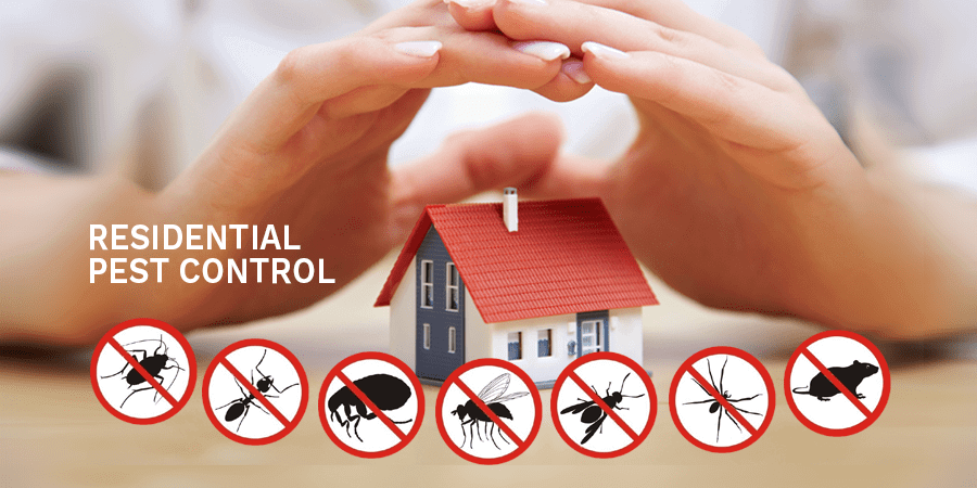 affordable pest control exterminators for your home or house