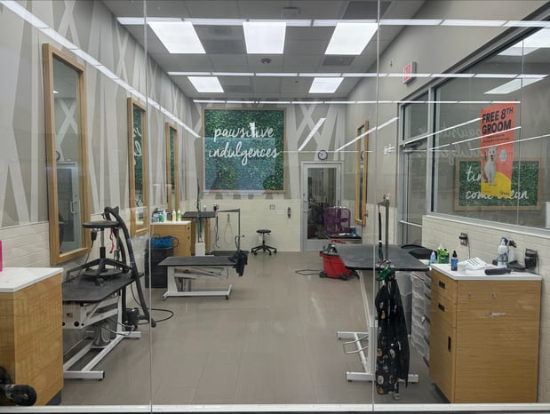Images Petco Grooming