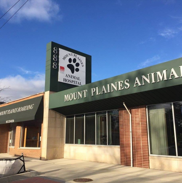 Images Mt. Plaines Animal Hospital