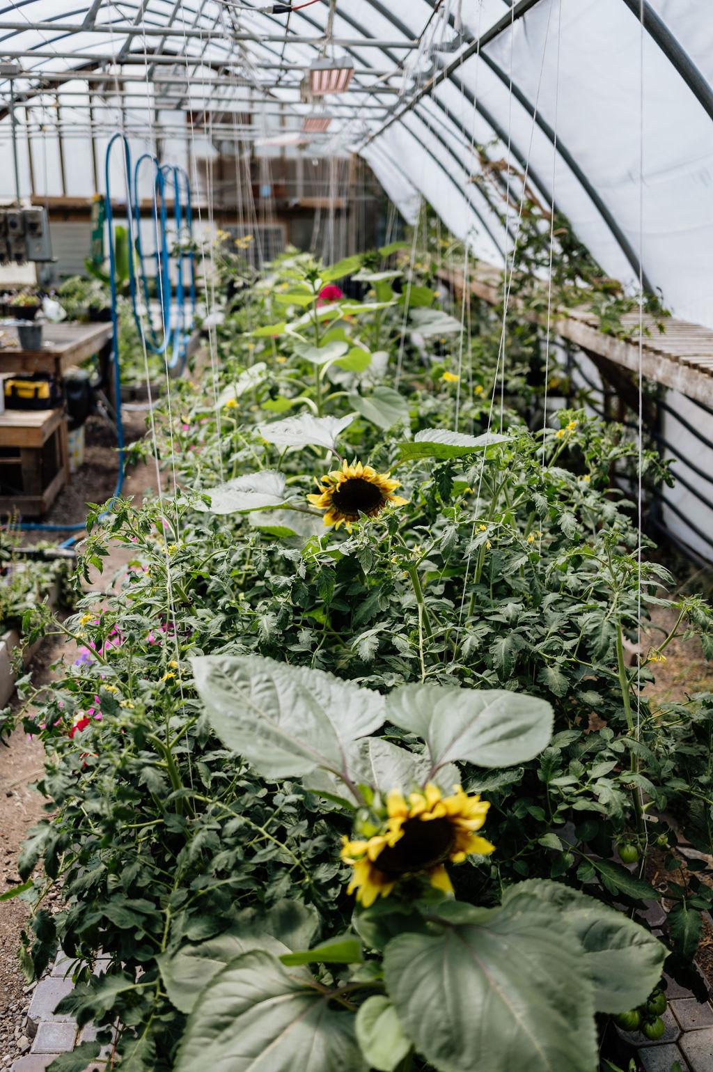 Chico Hot Springs Resort & Day Spa