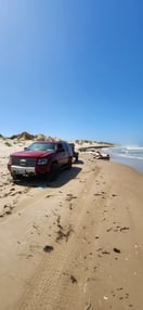 Images Marcos Crawl Shop LLC