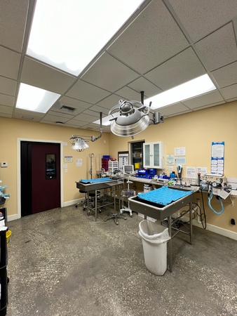 Images VCA Noah’s Place Animal Medical Center