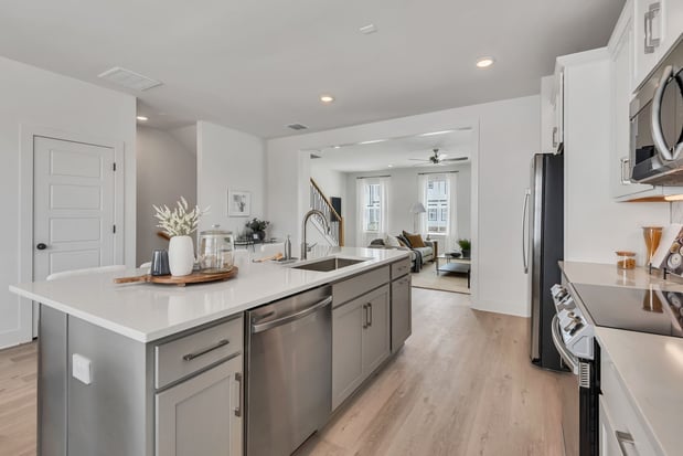 Images The Aria Townhomes