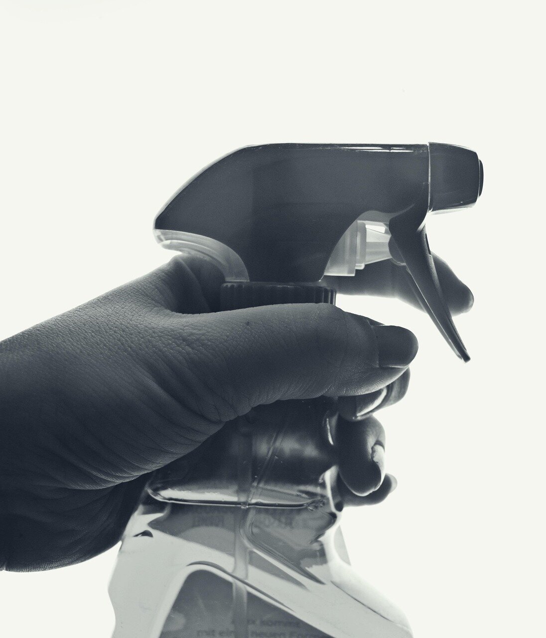 Fensterputzer Elia Schütt in Bremen