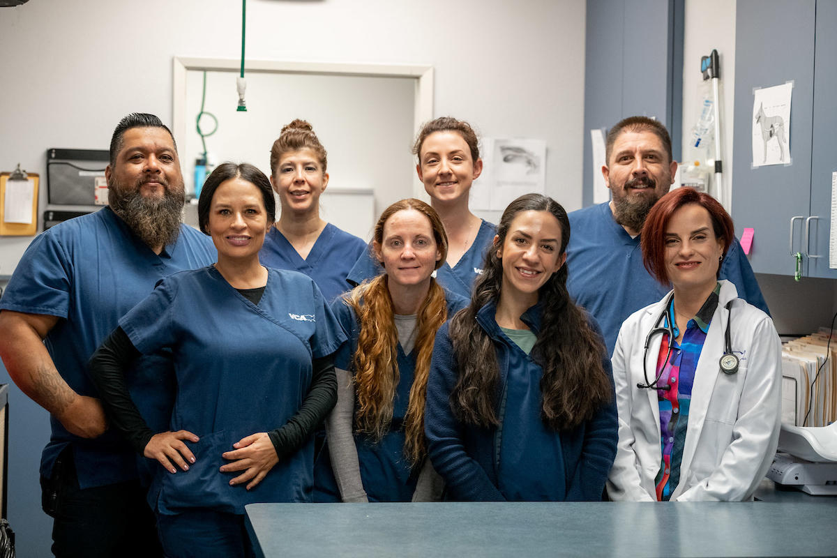 The caring and experienced team at VCA TLC Pasadena Veterinary Specialty and Emergency!