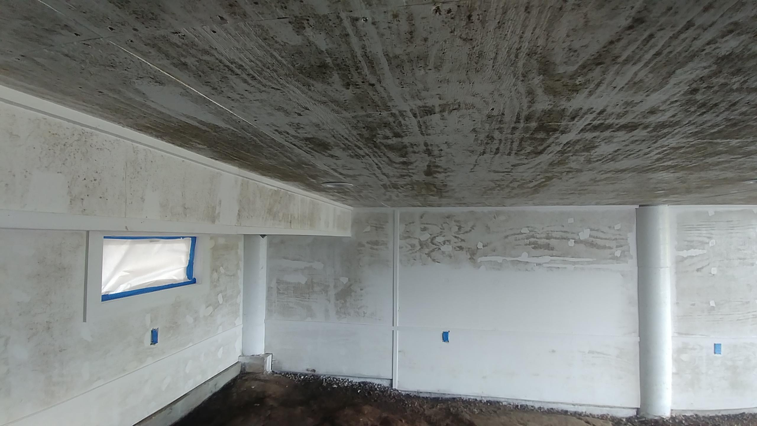 Moldy basement before