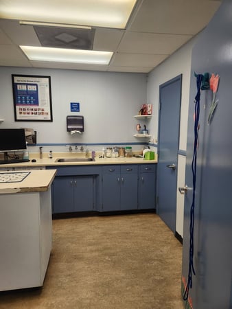 Images VCA Main Street Animal Hospital