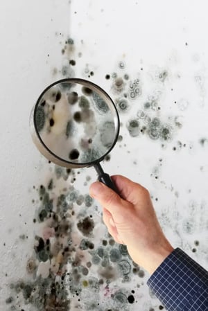 Images Environmental Testing & Consulting of Kentucky, LLC