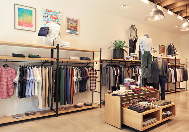 Images Bonobos