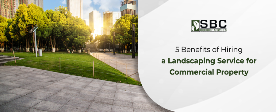 Your commercial property will look beautiful with the help of a professional landscaping team. Read the top 5 benefits of hiring a landscaping service for commercial property