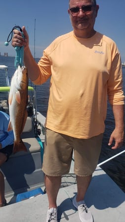 Images E-6 INSHORE FISHING ADVENTURES, LLC