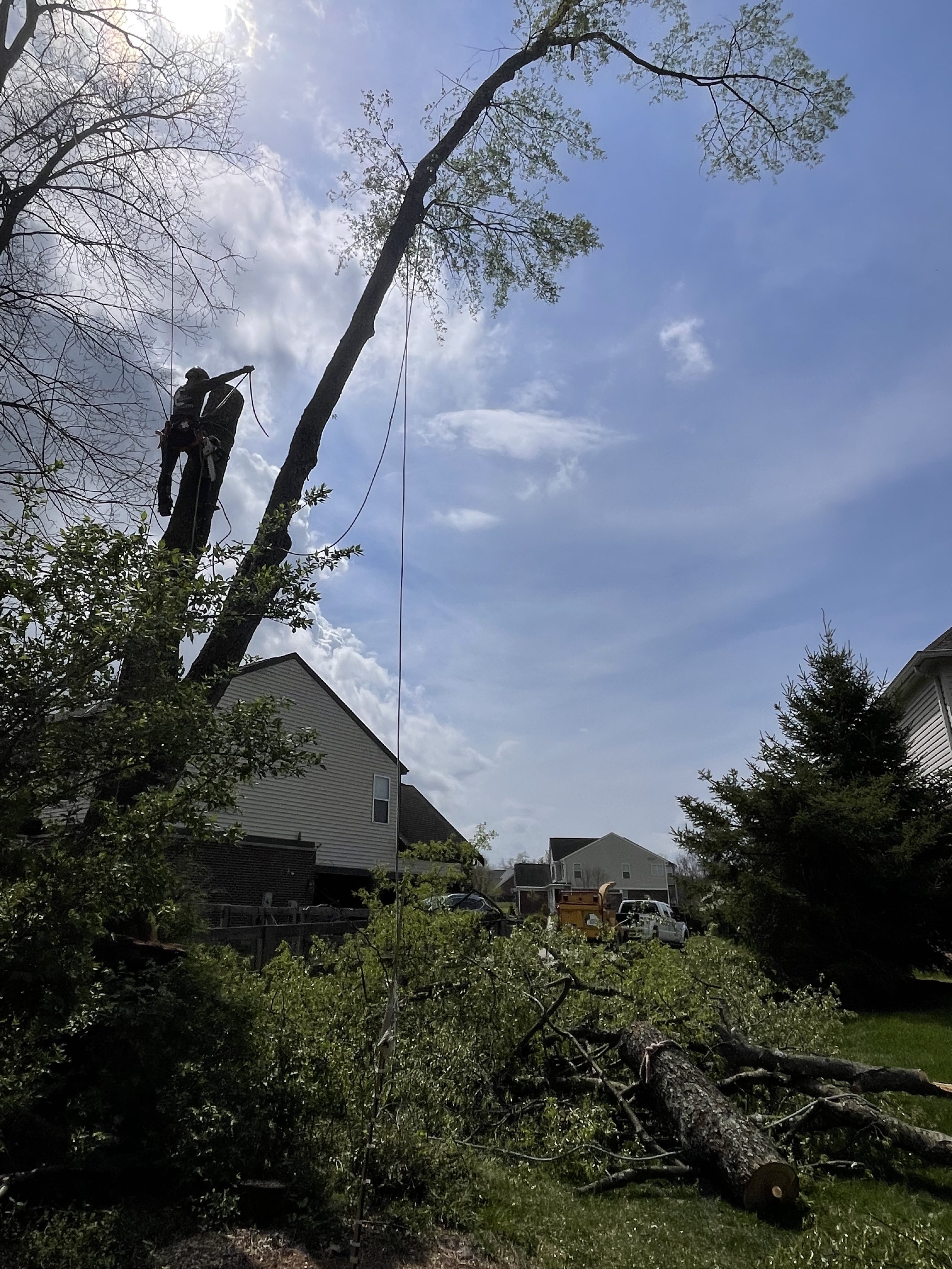Recently we were called out to this home in Union Twp to remove a large tree. It was leaning toward the house and looked as if it might fall any day. So we took it down. Do you have a tree like this in your yard? We can remove it for you. Call us today for a free consultation.