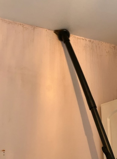 Images Quality Mold Remediation LLC