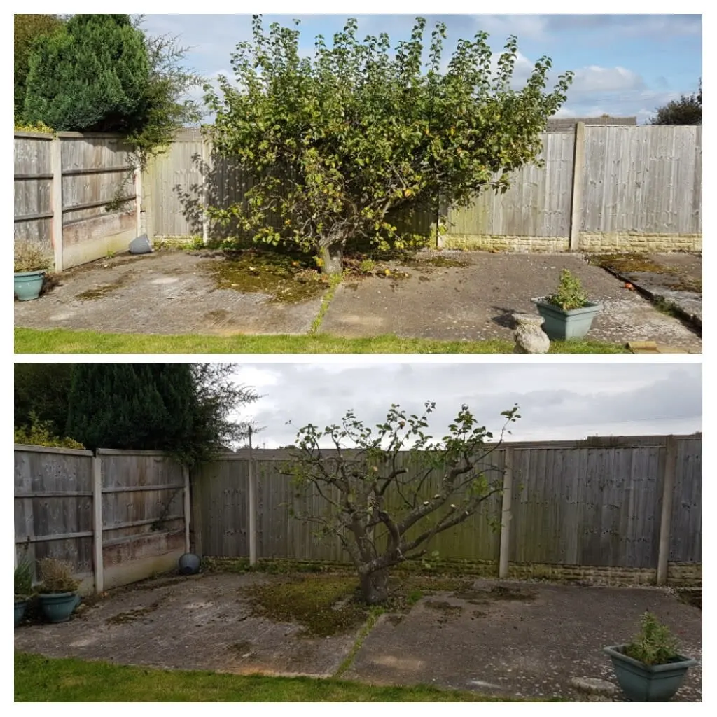 Images P Raitt Garden Maintenance