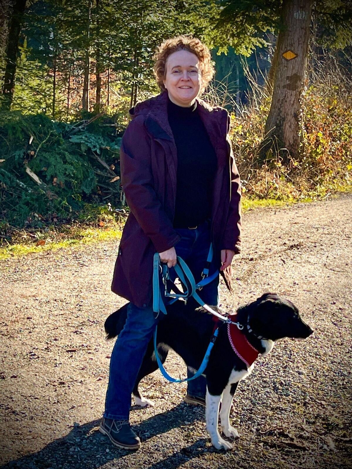 Bilder A-Z-Hundetraining