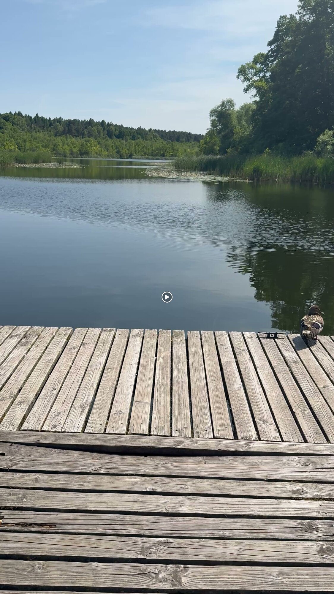 Fastenwanderzeit, Fleether Mühle 1 in Mirow