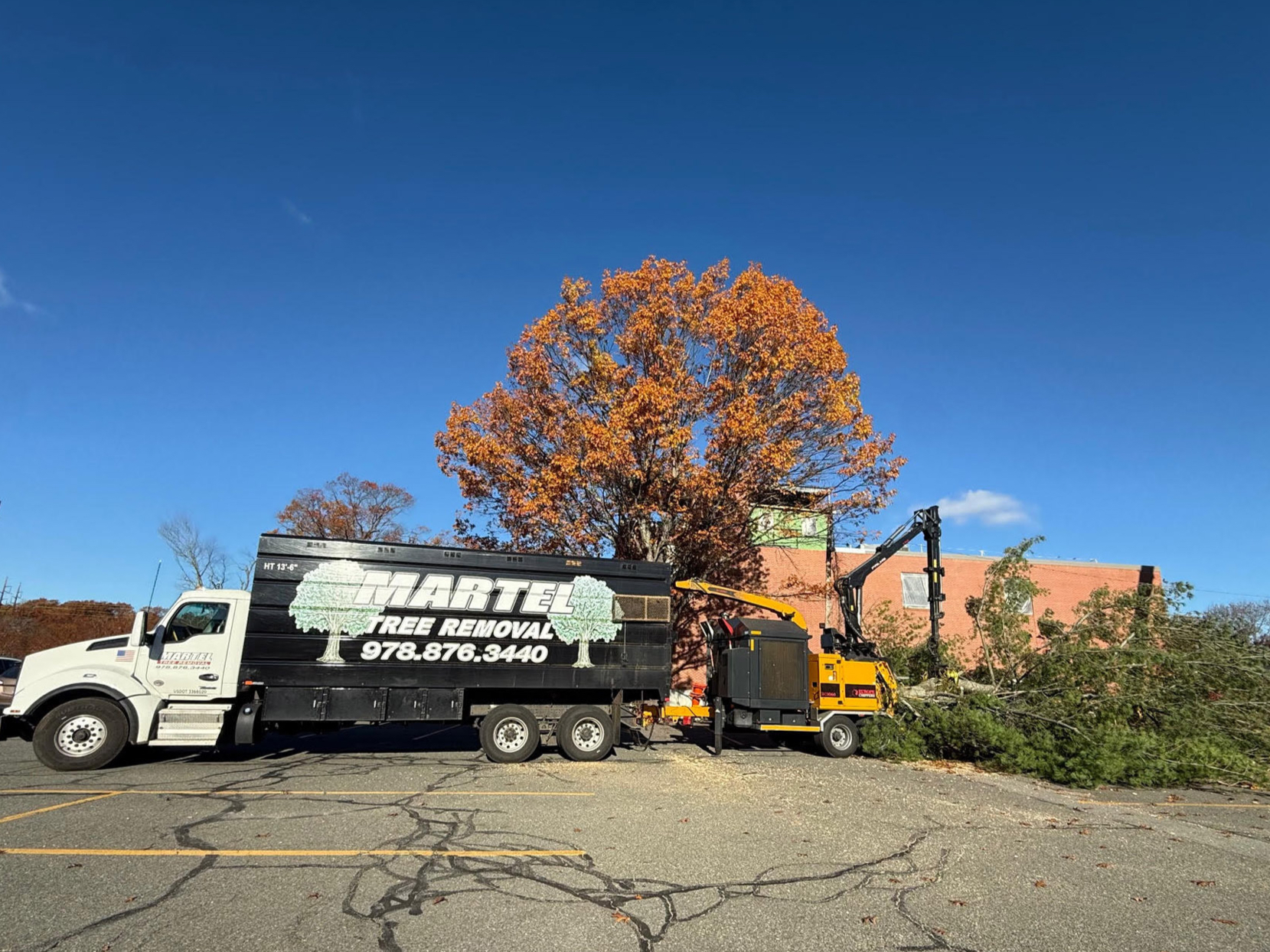 Martel Crane Service & Tree Removal Image