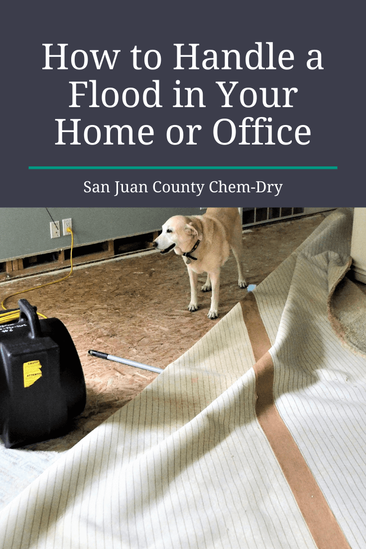 San Juan County Chem-Dry Image
