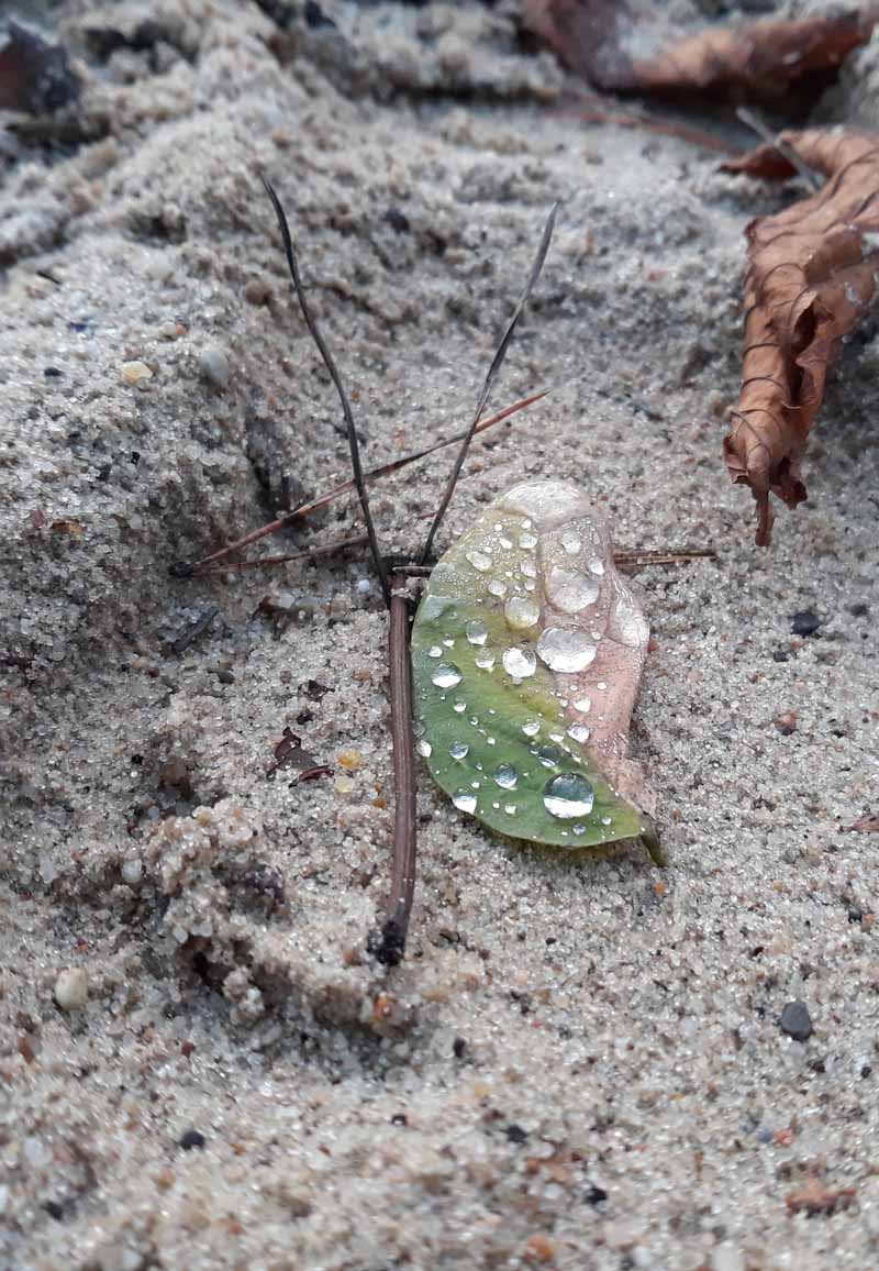 Bild 1 von Cranio Raum Linz