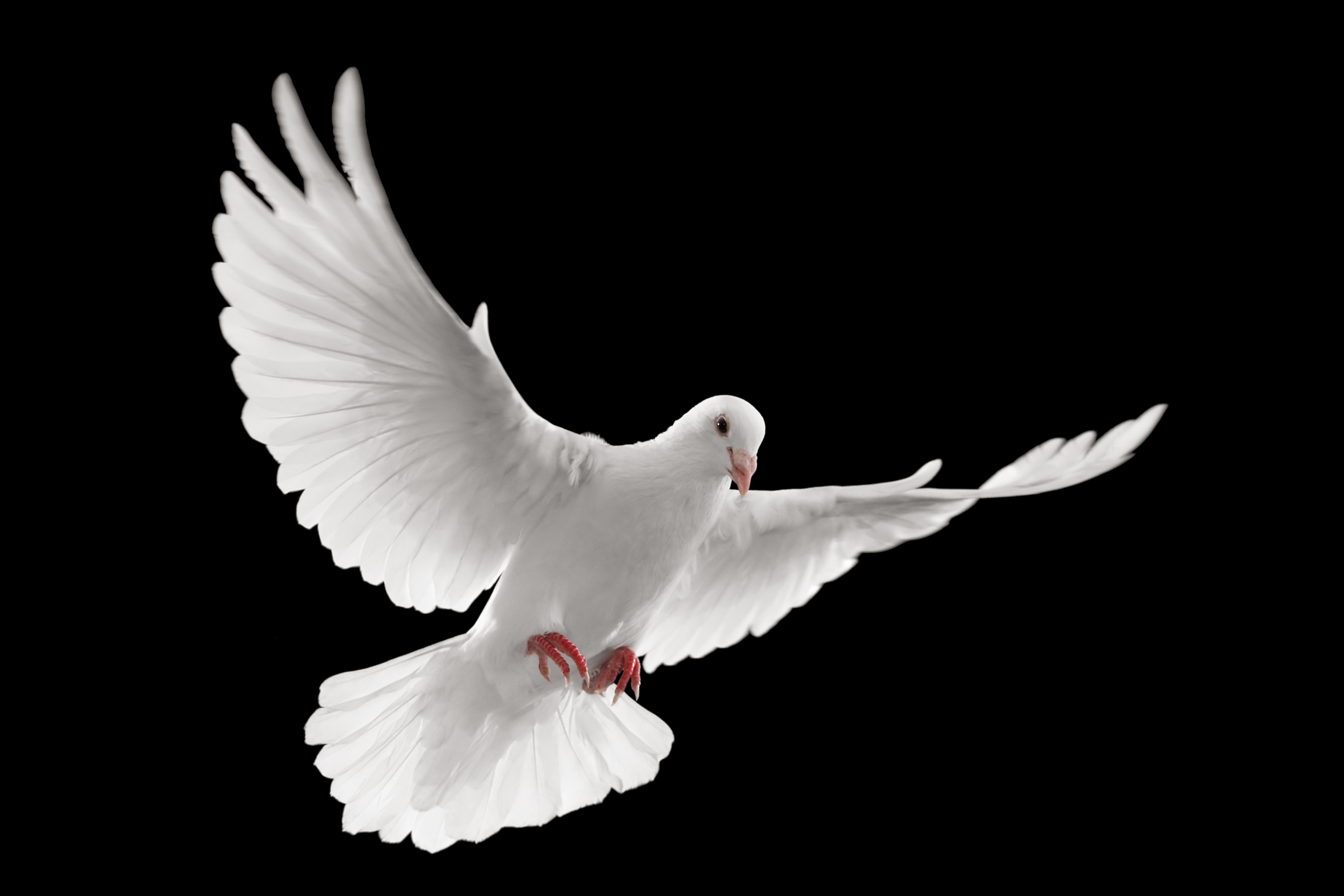 main blog image