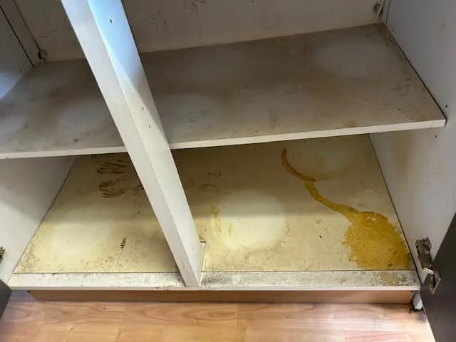 Images Ambiente FM Ltd