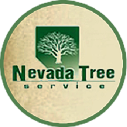 Nevada Tree Service