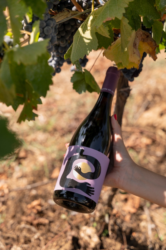 Images Cantina dei Quinti