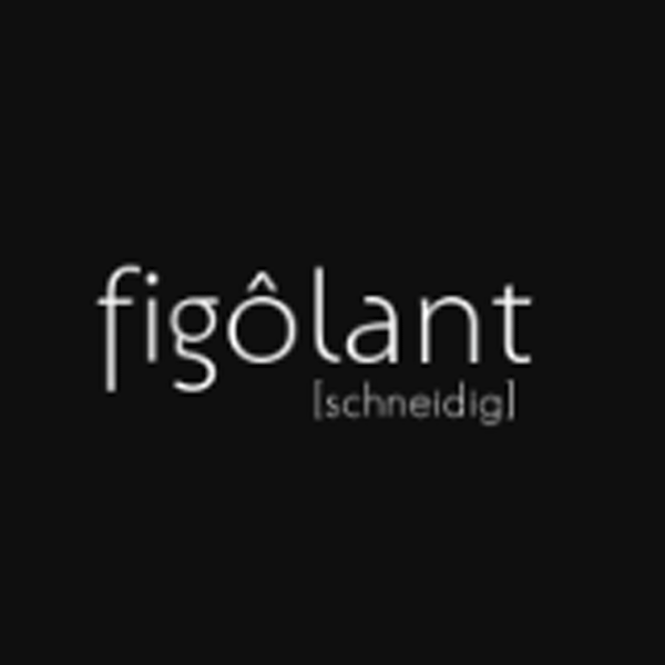 Logo von Figôlant - Friseur in Egg