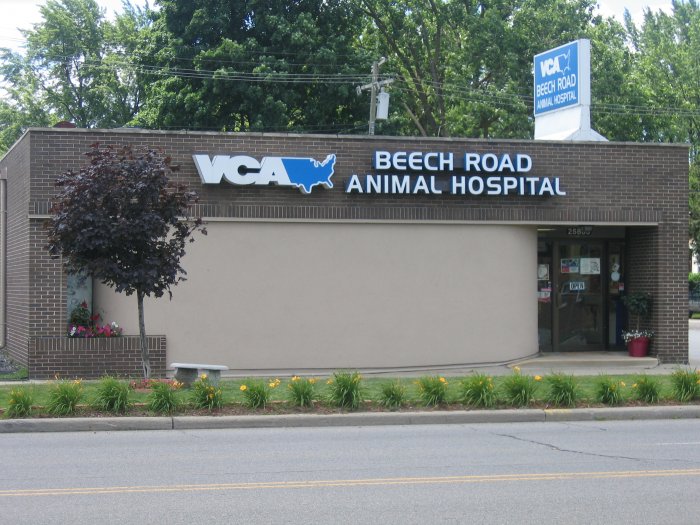 Images VCA Beech Road Animal Hospital