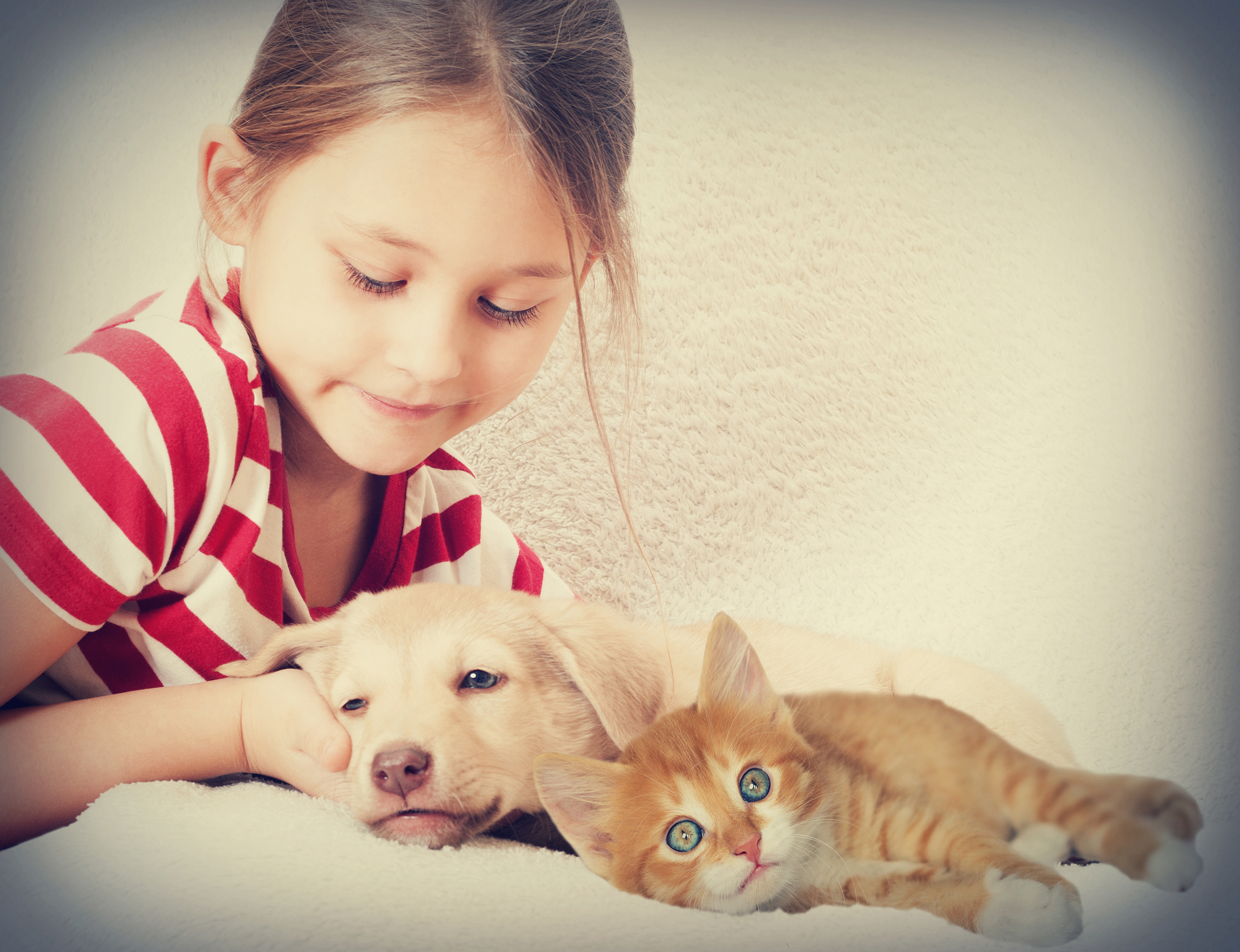 Appanasha Pet Clinic