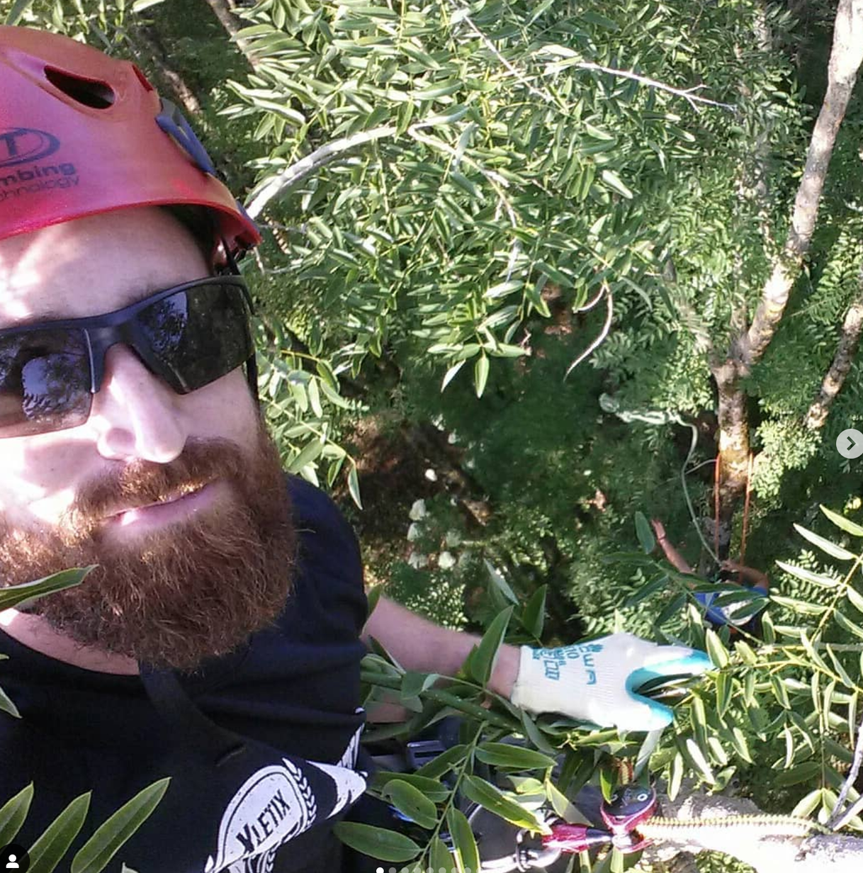 Baumpflege-Gallusser, Bergstrasse 3 in Hinteregg