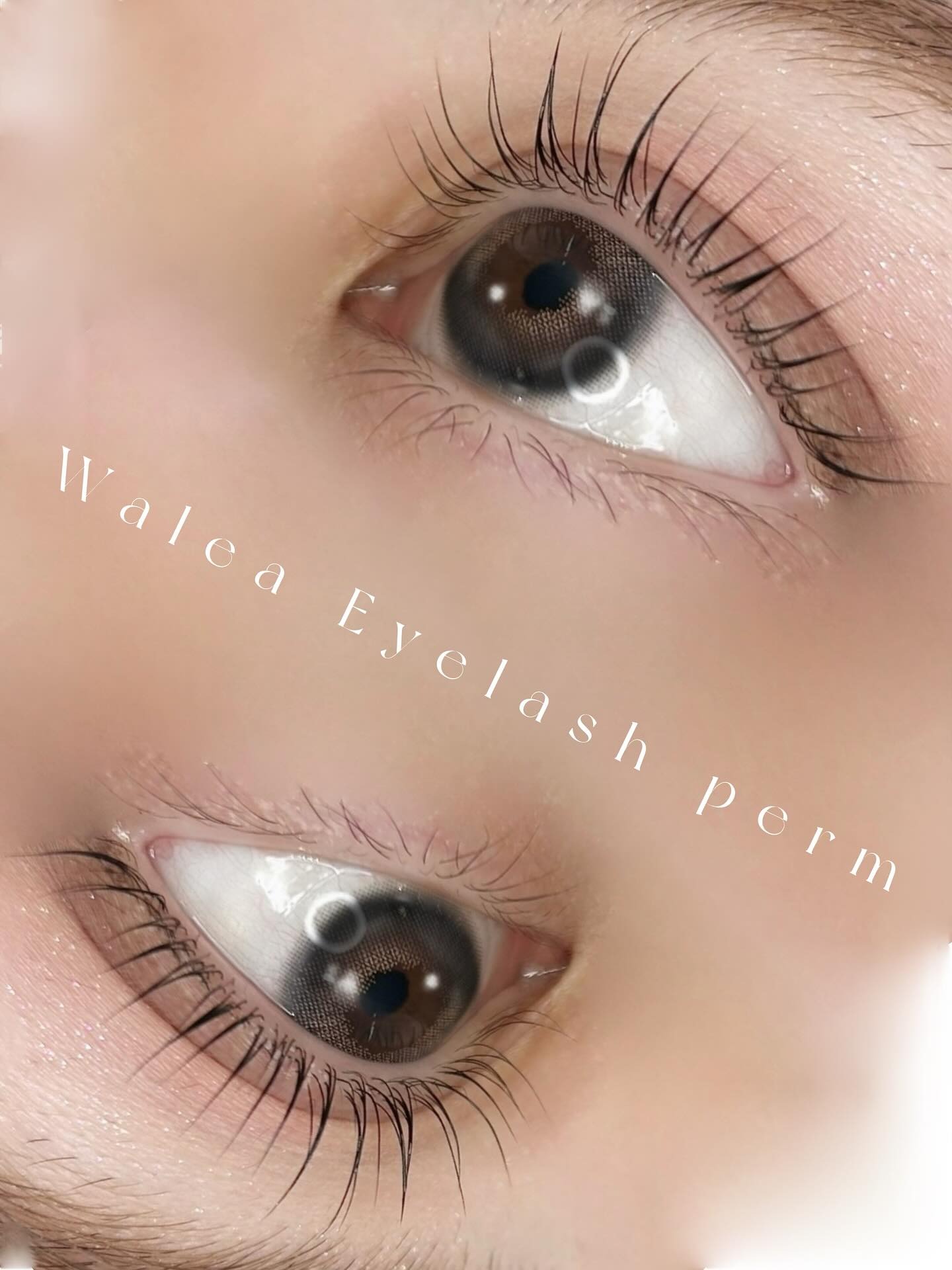 Images Walea 大宮