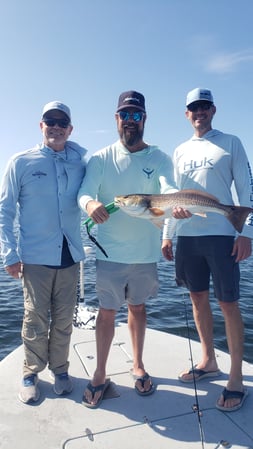 Images E-6 INSHORE FISHING ADVENTURES, LLC