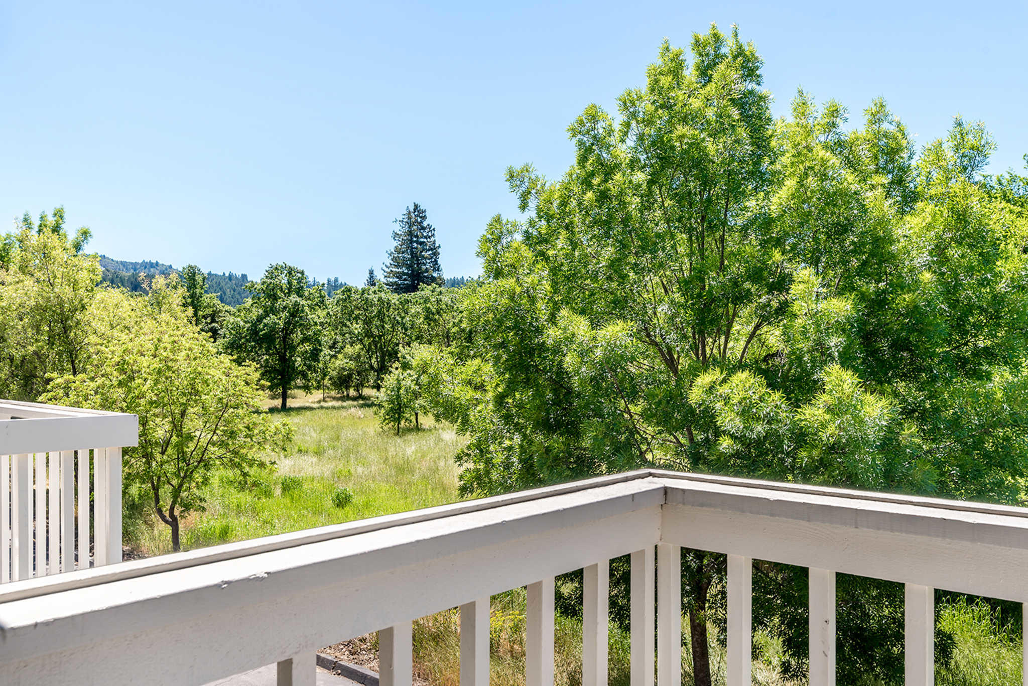 Calistoga spa hot springs discount coupon