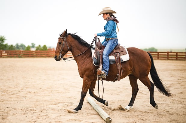 Images Equine Coach, LLC
