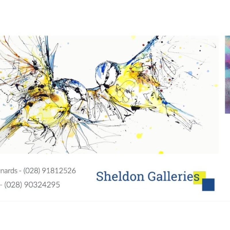 Sheldon Galleries - Newtownards, County Down BT23 7DN - 02891 812526 | ShowMeLocal.com