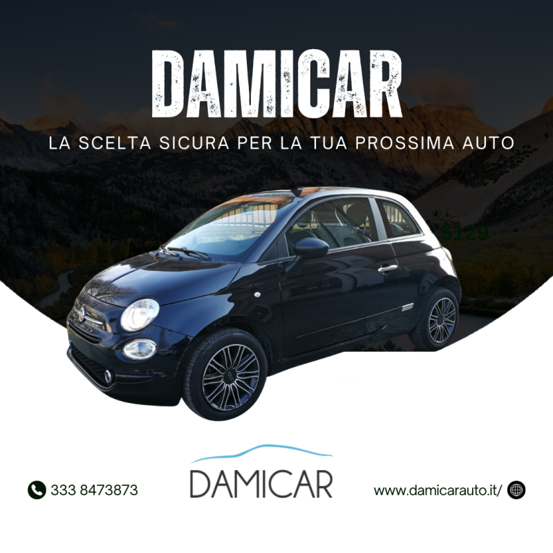 Images Damicar