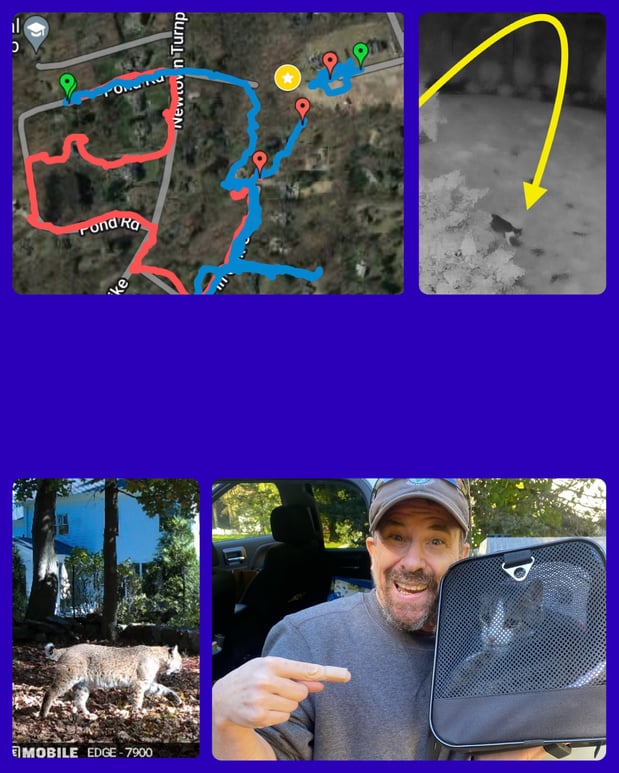Images Professional Pet Trackers
