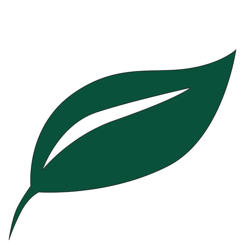 LeafGuard of Springfield Logo